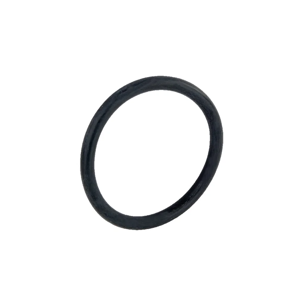 O-ring pompă apă 1180277