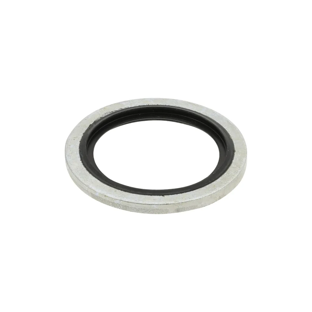 Inel de etanșare 3/4" TT12