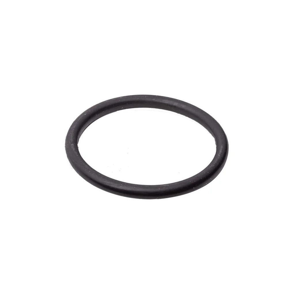 O-ring UD110101