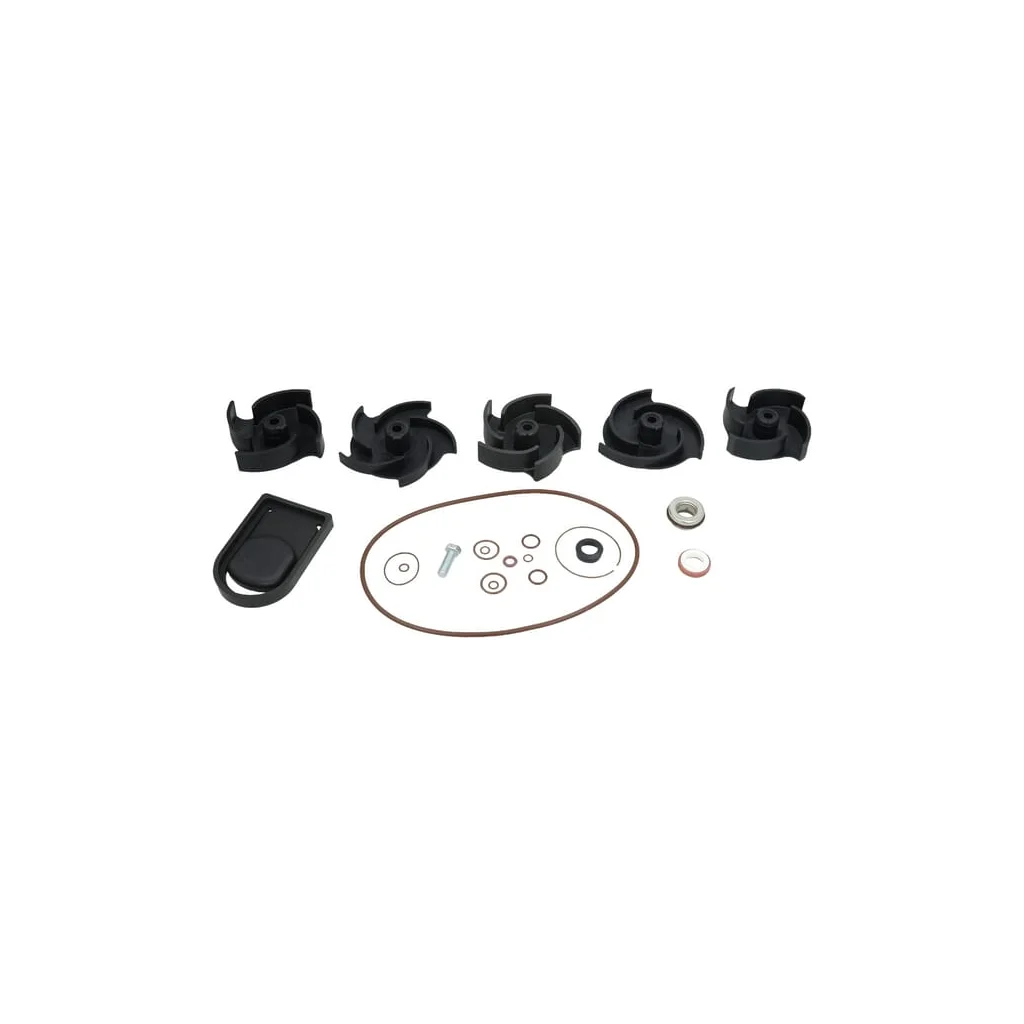 Kit reparație pompă Poly 2" FKM 12000AV
