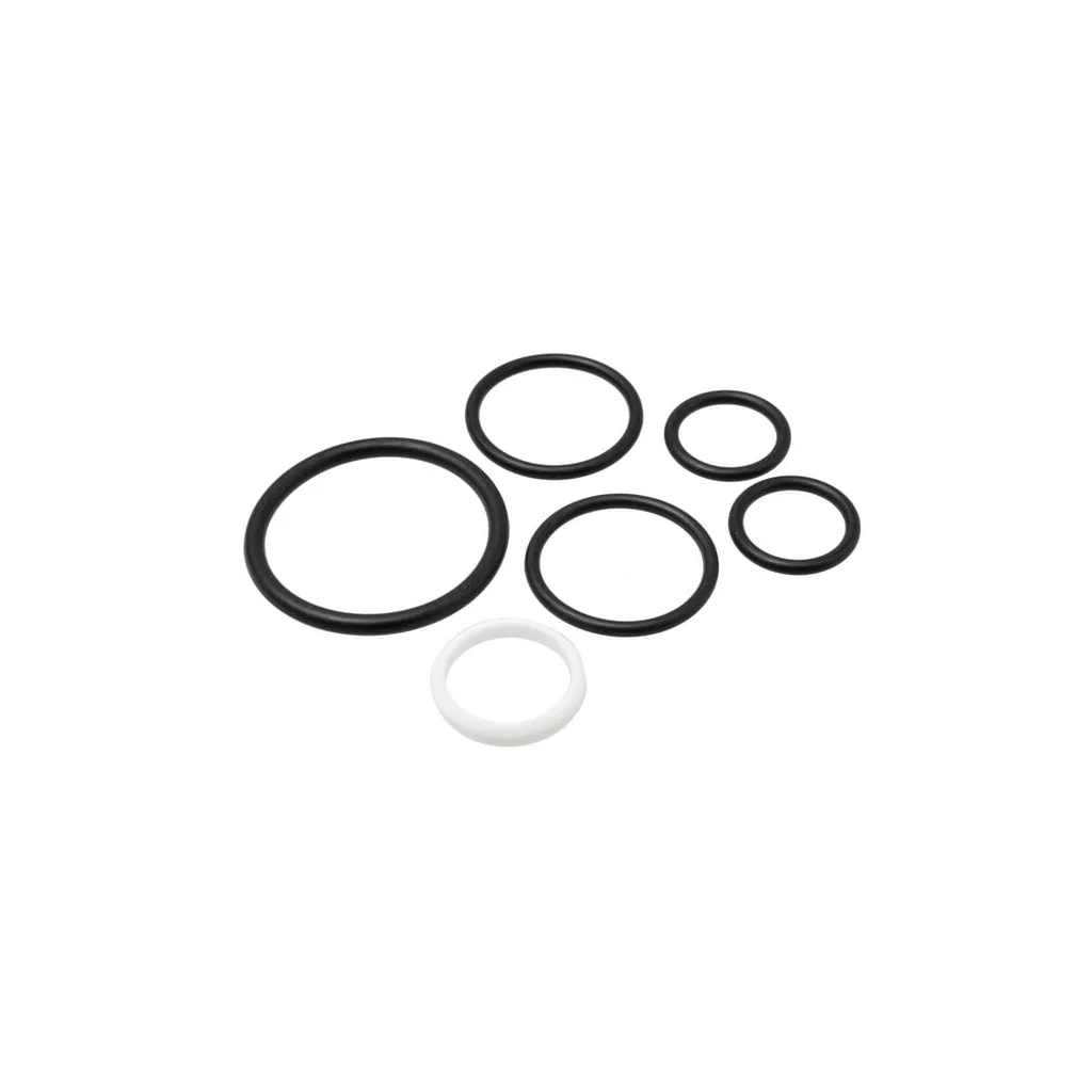 Set de O-ring VFE1170