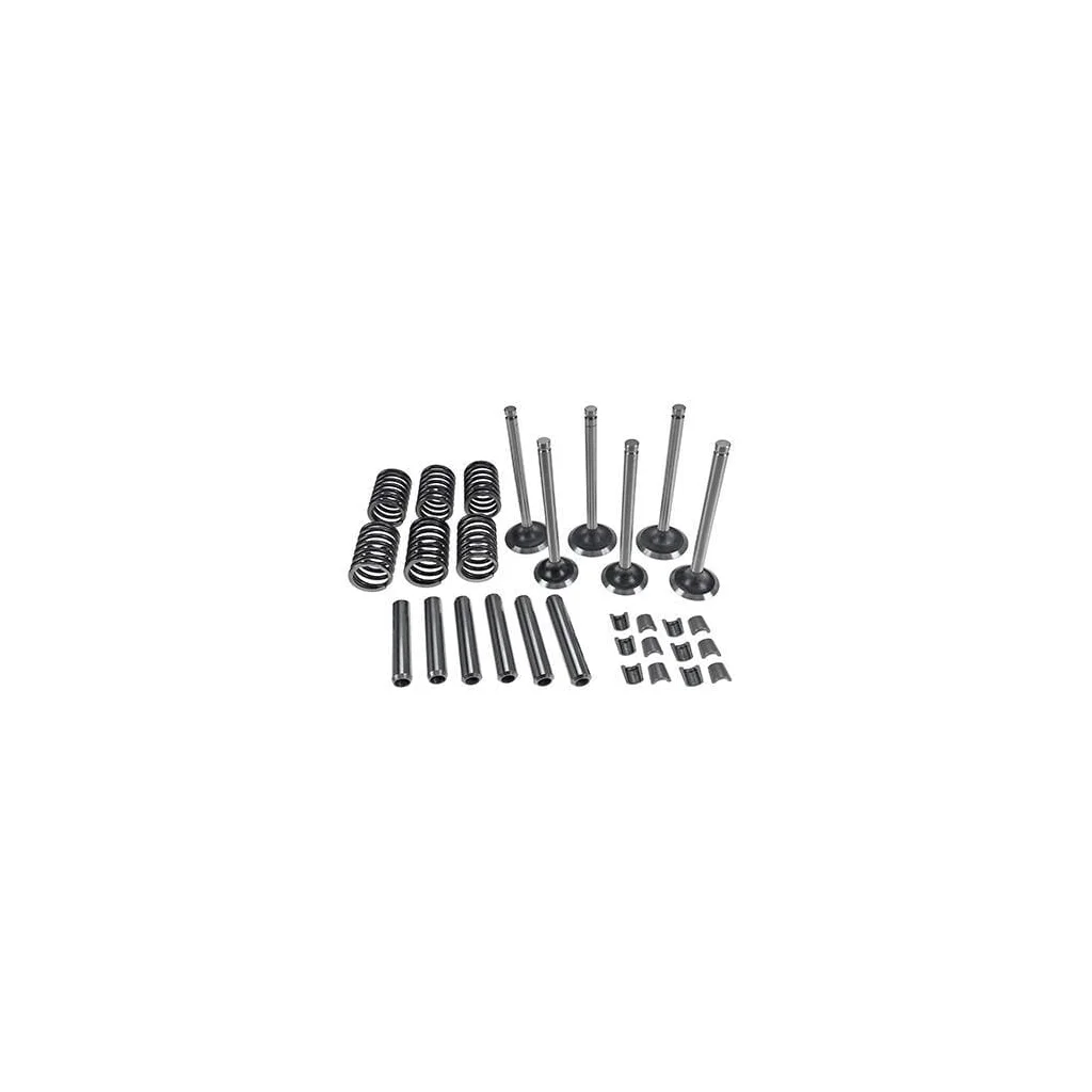 Set supapă VPA6004