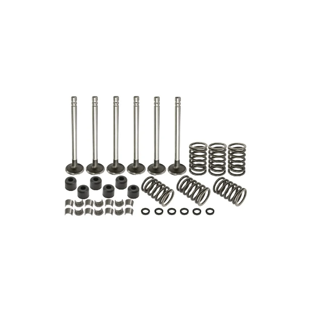 Set supapă VPA6021