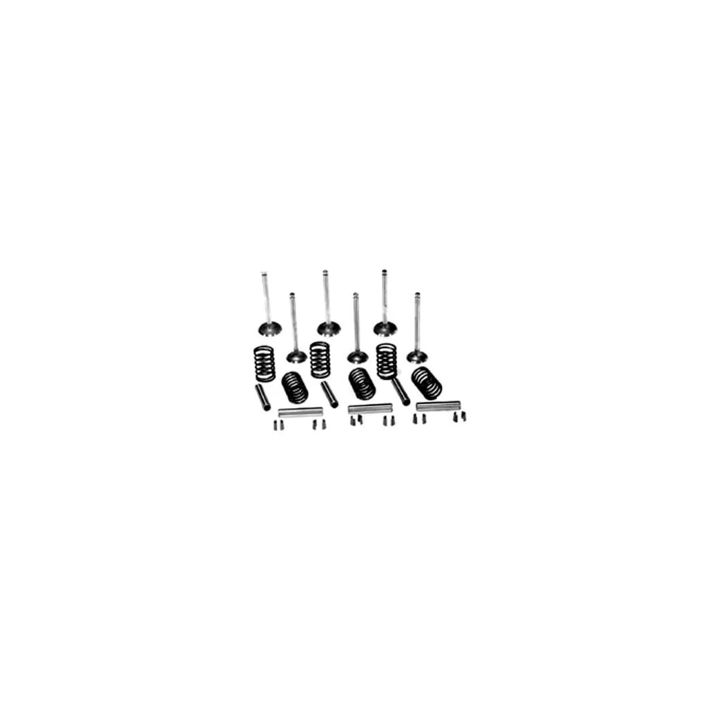 Set supapă VPA6003
