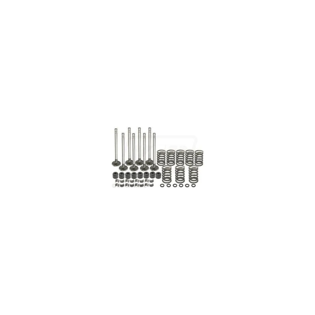 Set supapă VPA6022