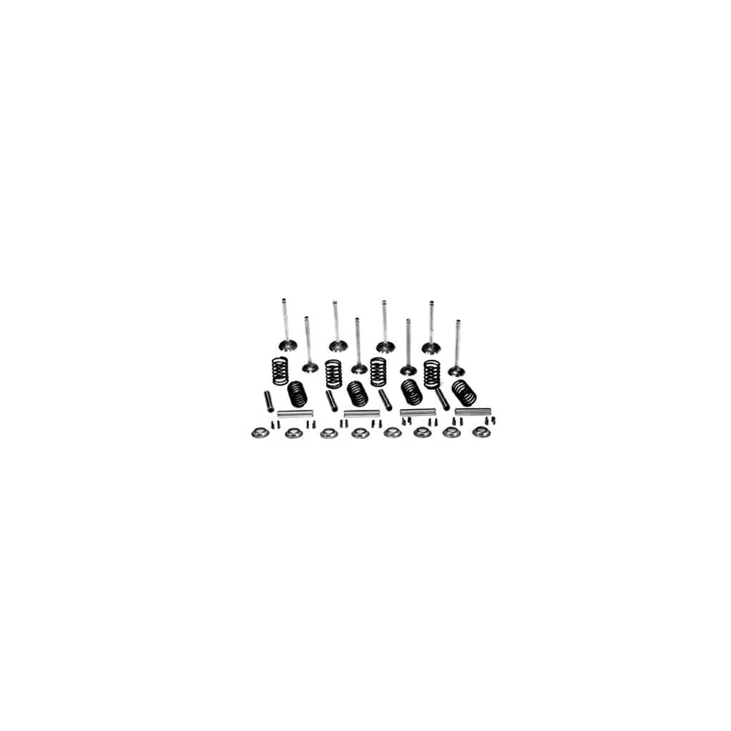 Set supapă VPA6012