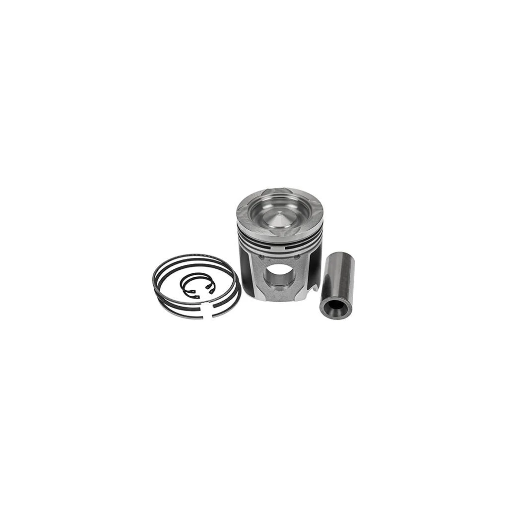 Piston cu segmenți VPB3874