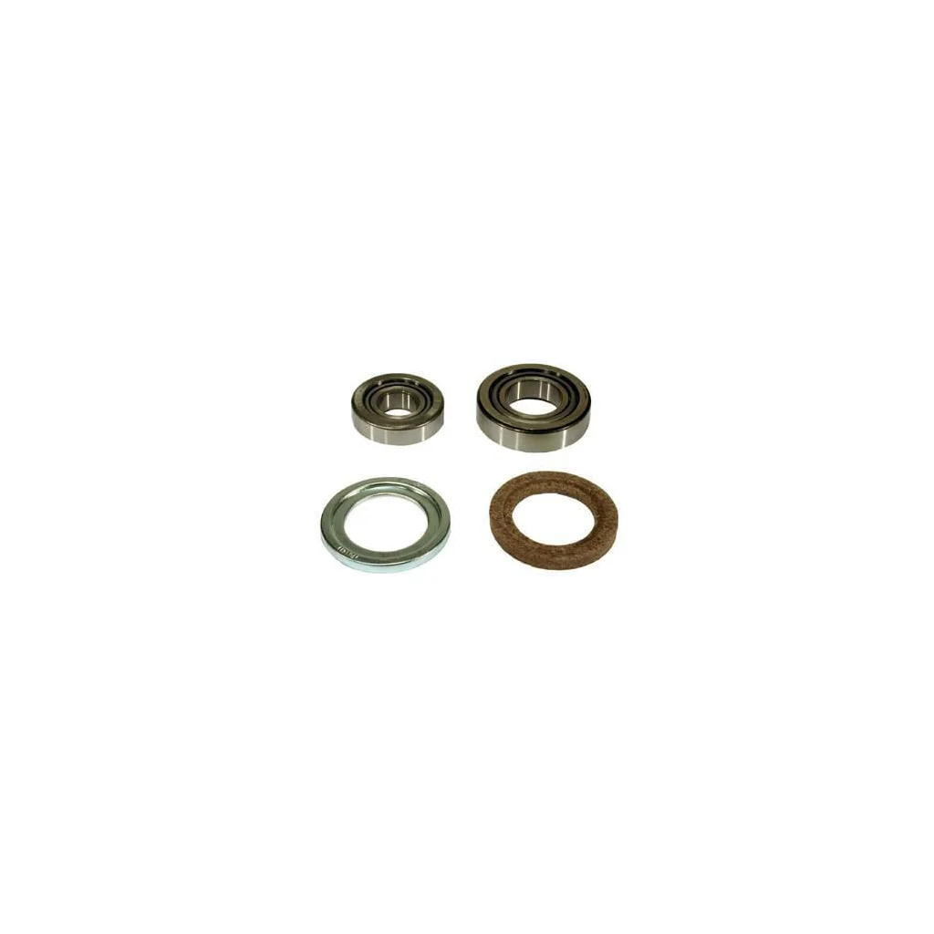 Set rulment roată VPJ2201