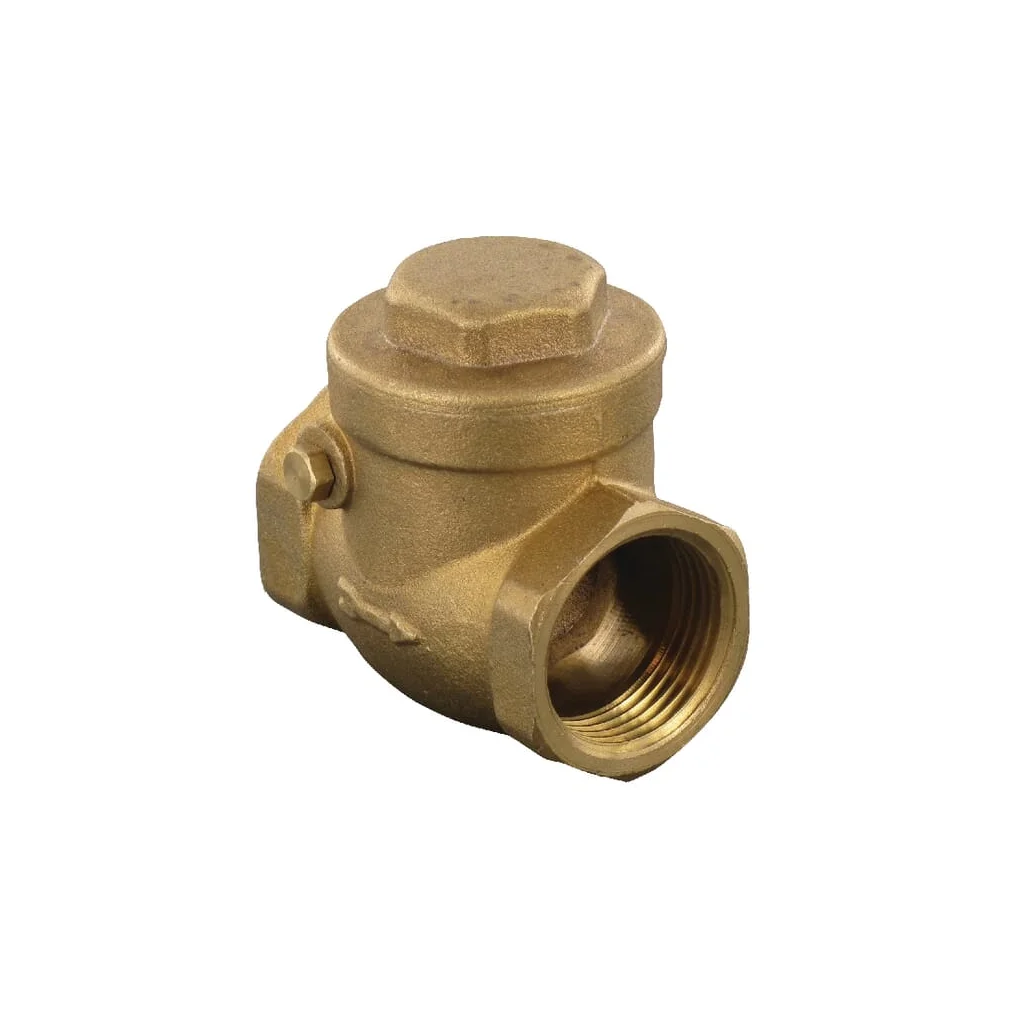 Supapă de reținere verticală 2 1/2" WK51067