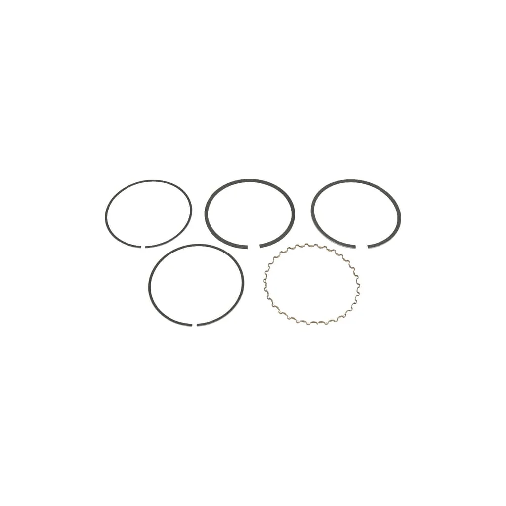Segmenți piston 130086025
