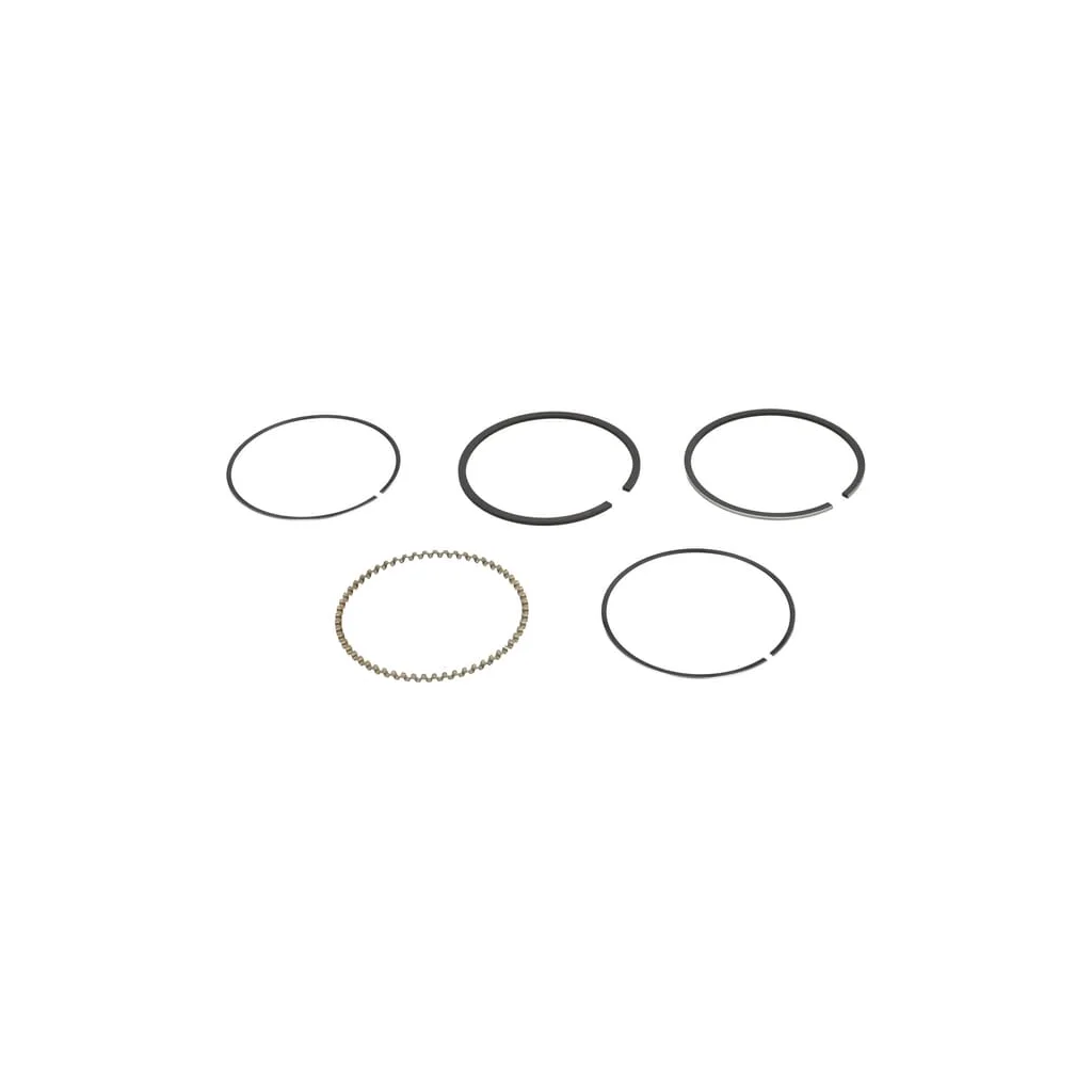 Set segmenti piston L 0.5 130257003