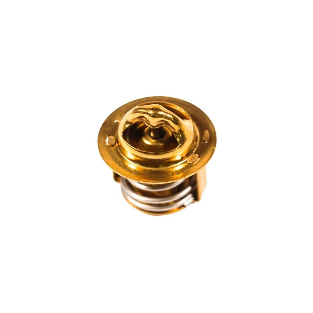 Termostat 145206320