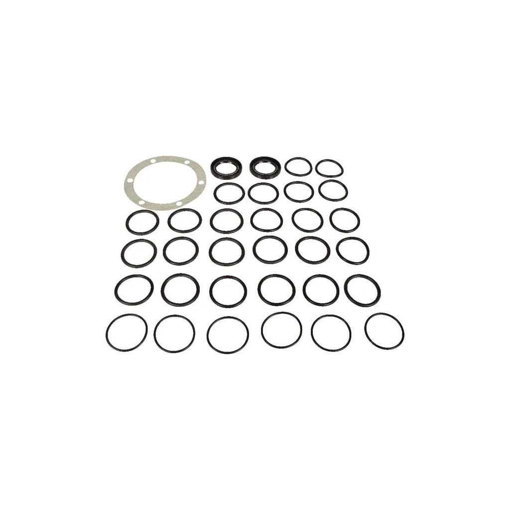 Set piese de rezervă pompă Bertolini 149883973