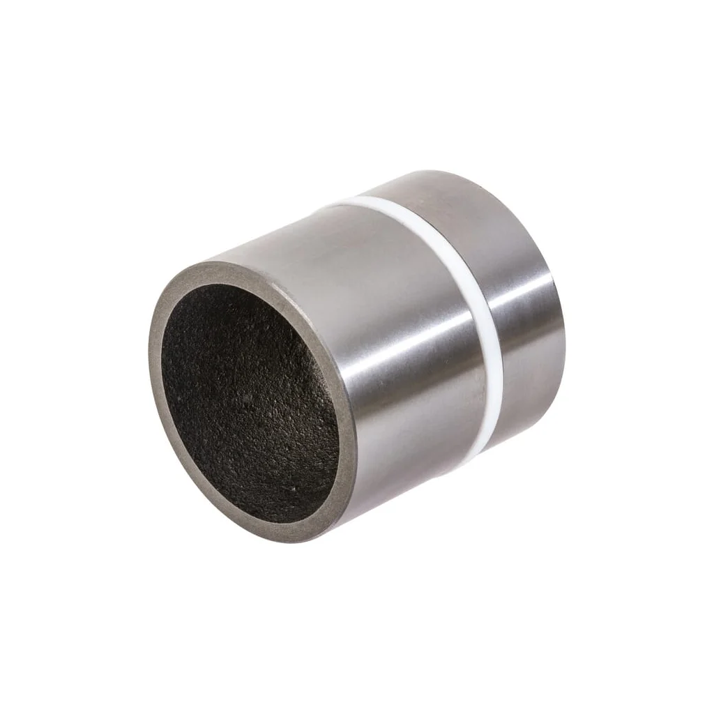 Piston 1665738M91N