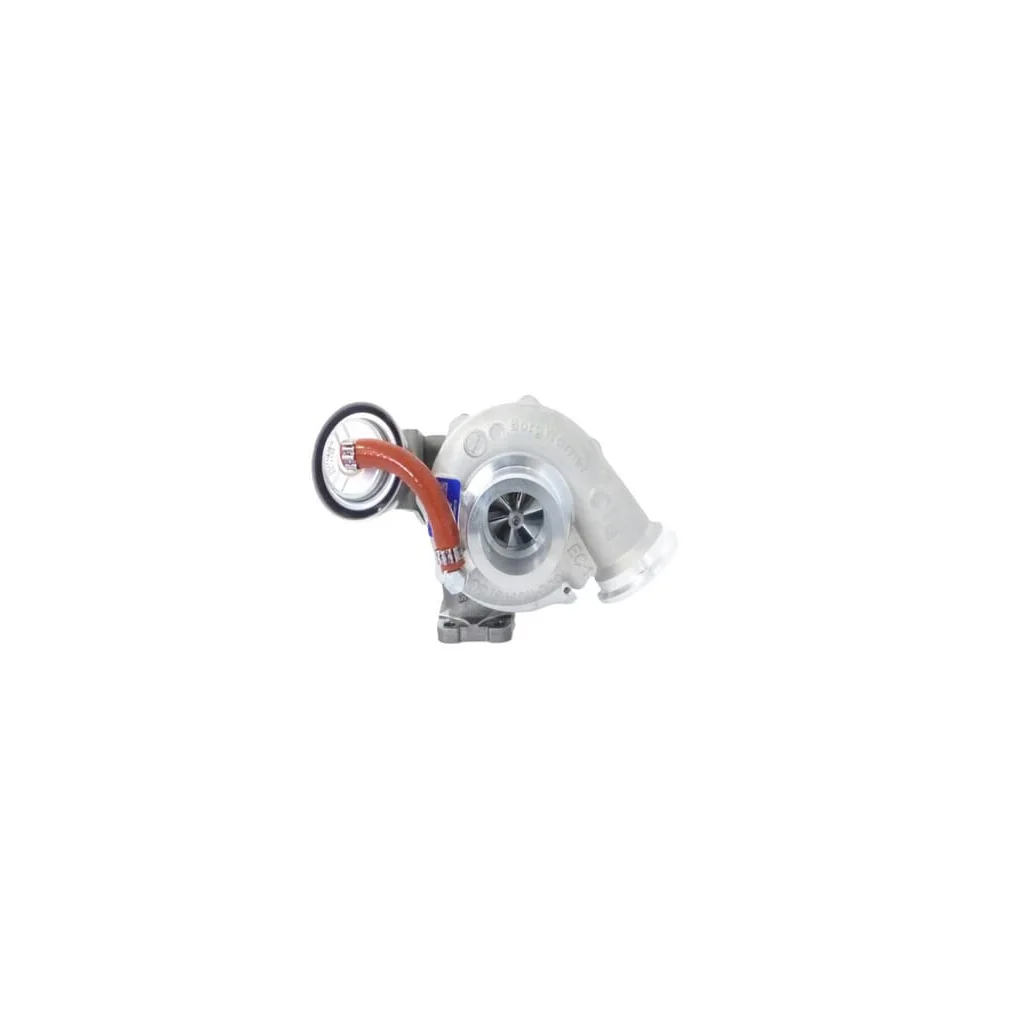 Turbocompresor Borgwarner 17004BOR