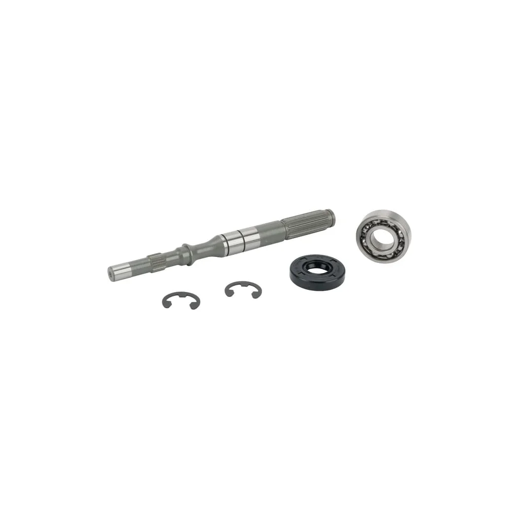 Ax pompă/Set rulment 168T2099250
