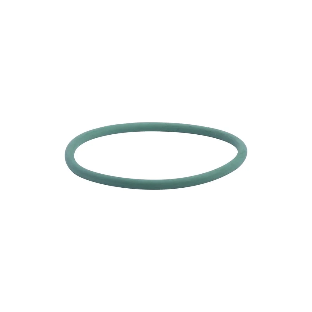 O-ring pompă apă 17290081