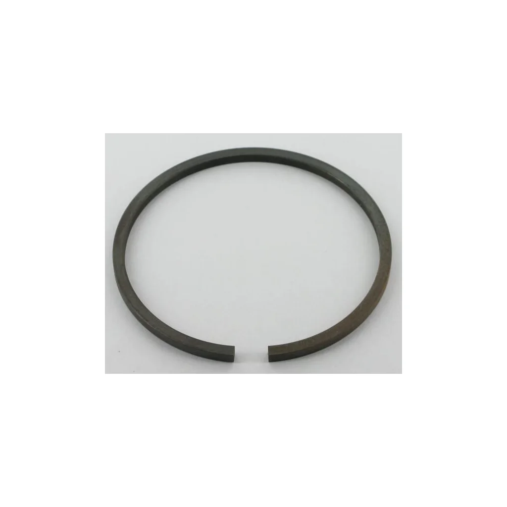 Segment piston 184447M1N
