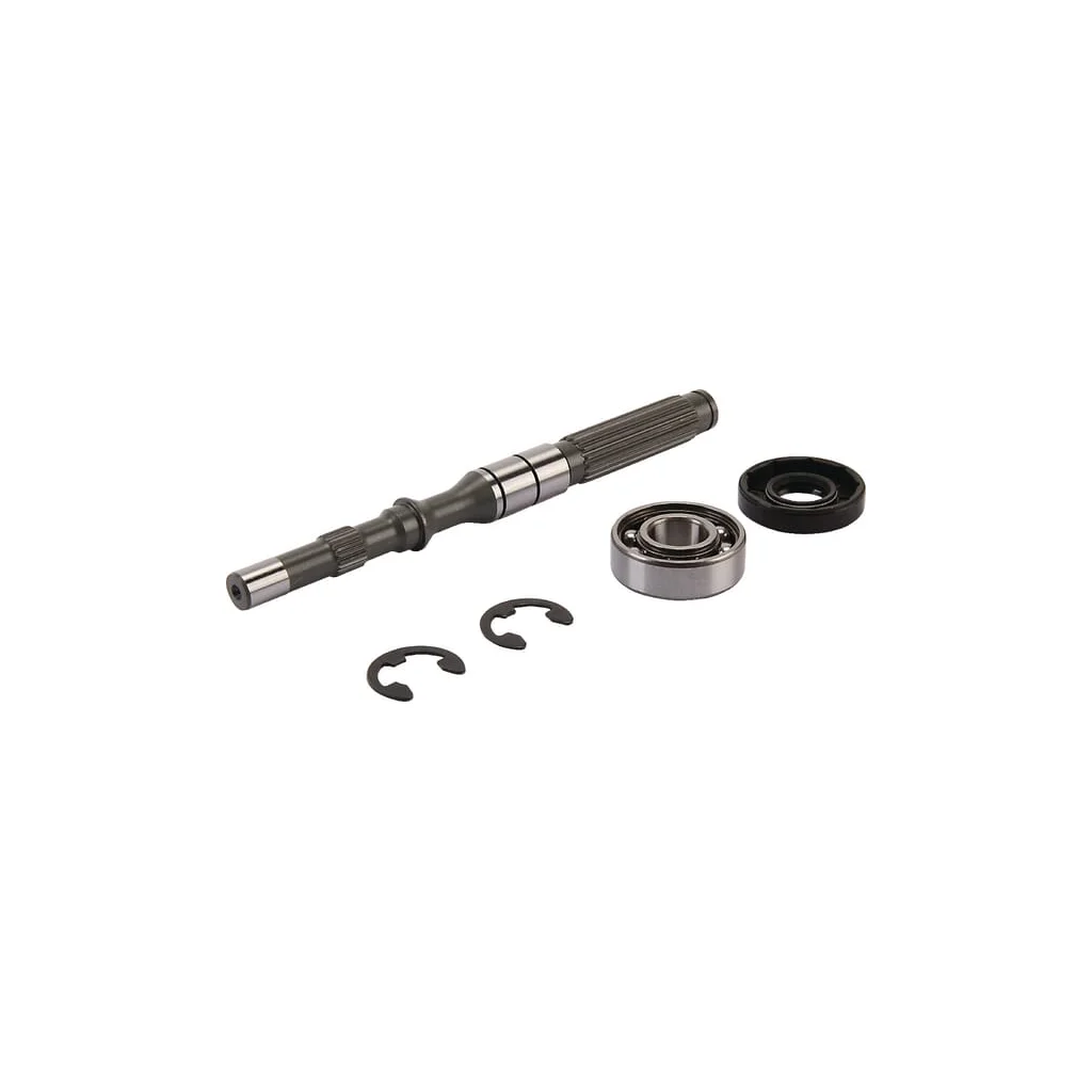 Ax pompă/Set rulment 1A646099960