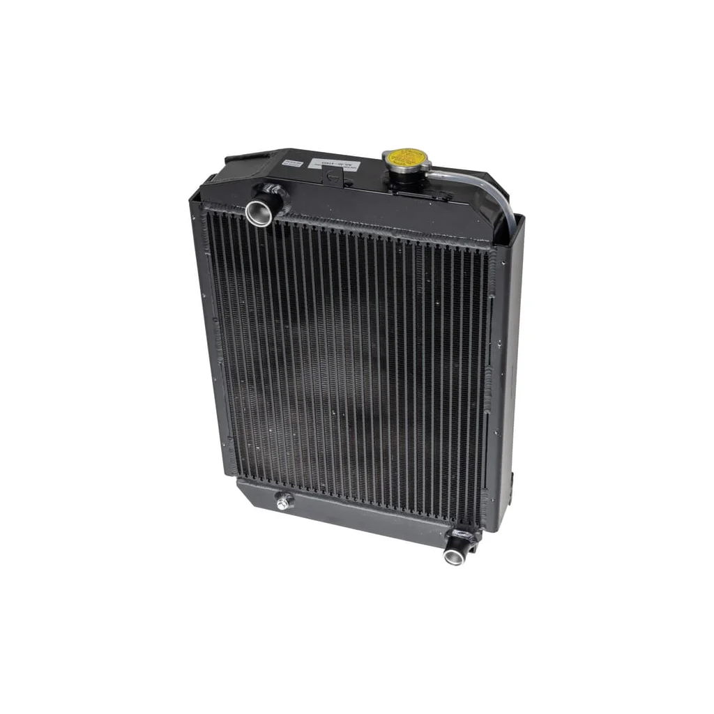 Radiator 001371384N