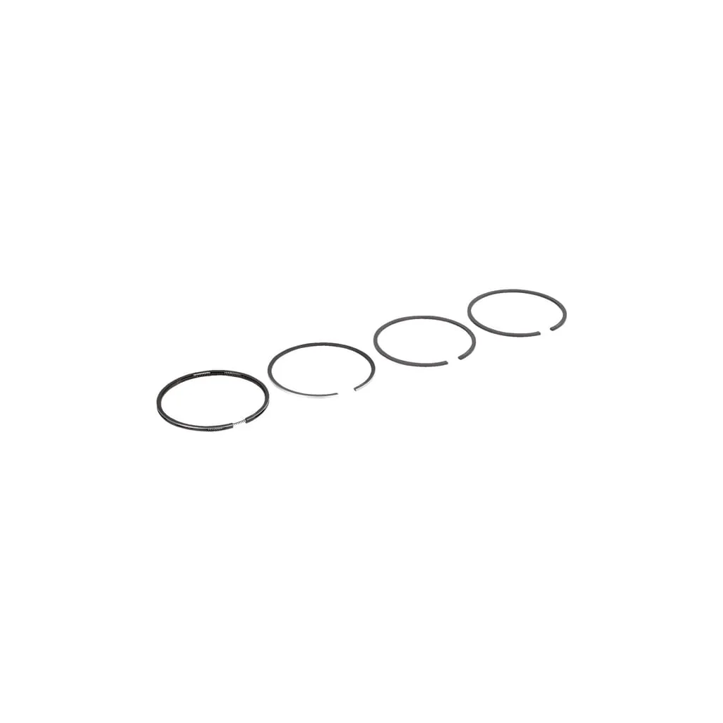Set segmente piston 4 segmente 2233074