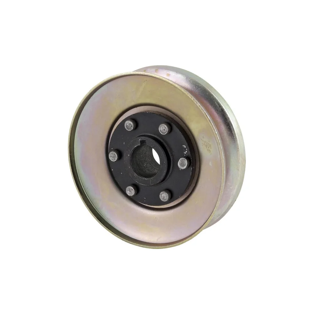 Roată de curea pentru generator 29600050457630
