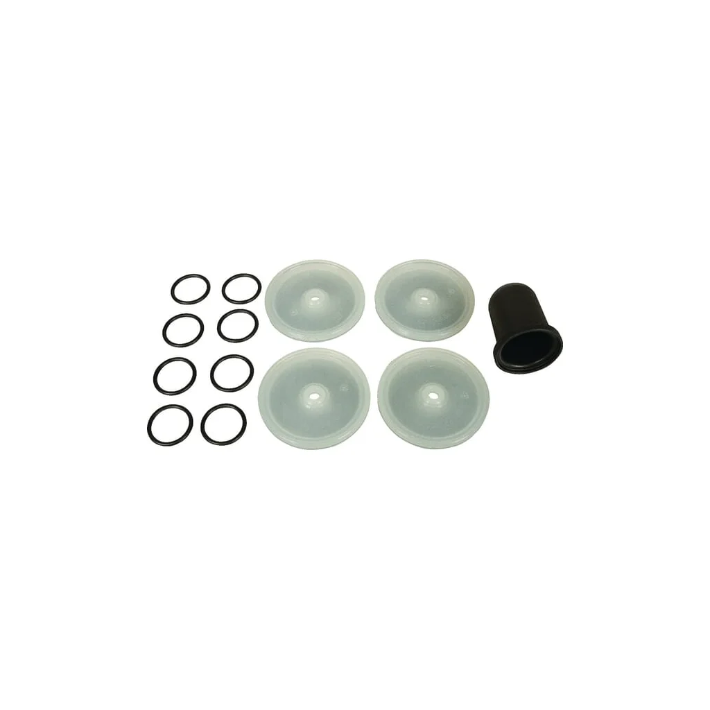 Set membrane Desmopan Bertolini 289887973DS