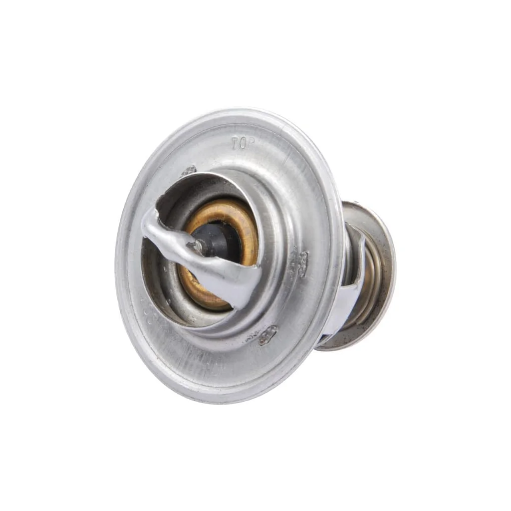 Termostat Case - IH 3059676R92
