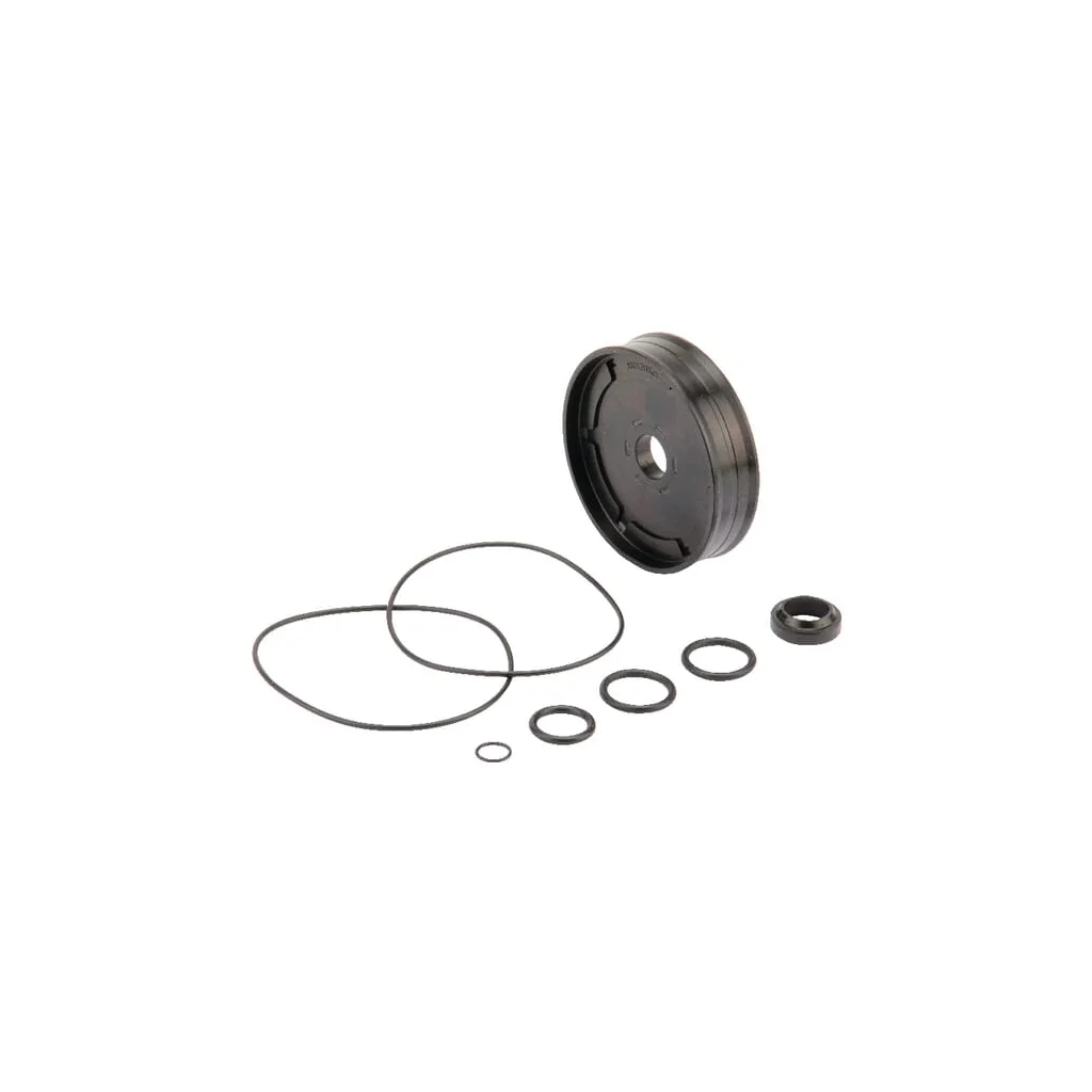 Set de garnituri pentru cilindru pneum. 6" 39CYTD100
