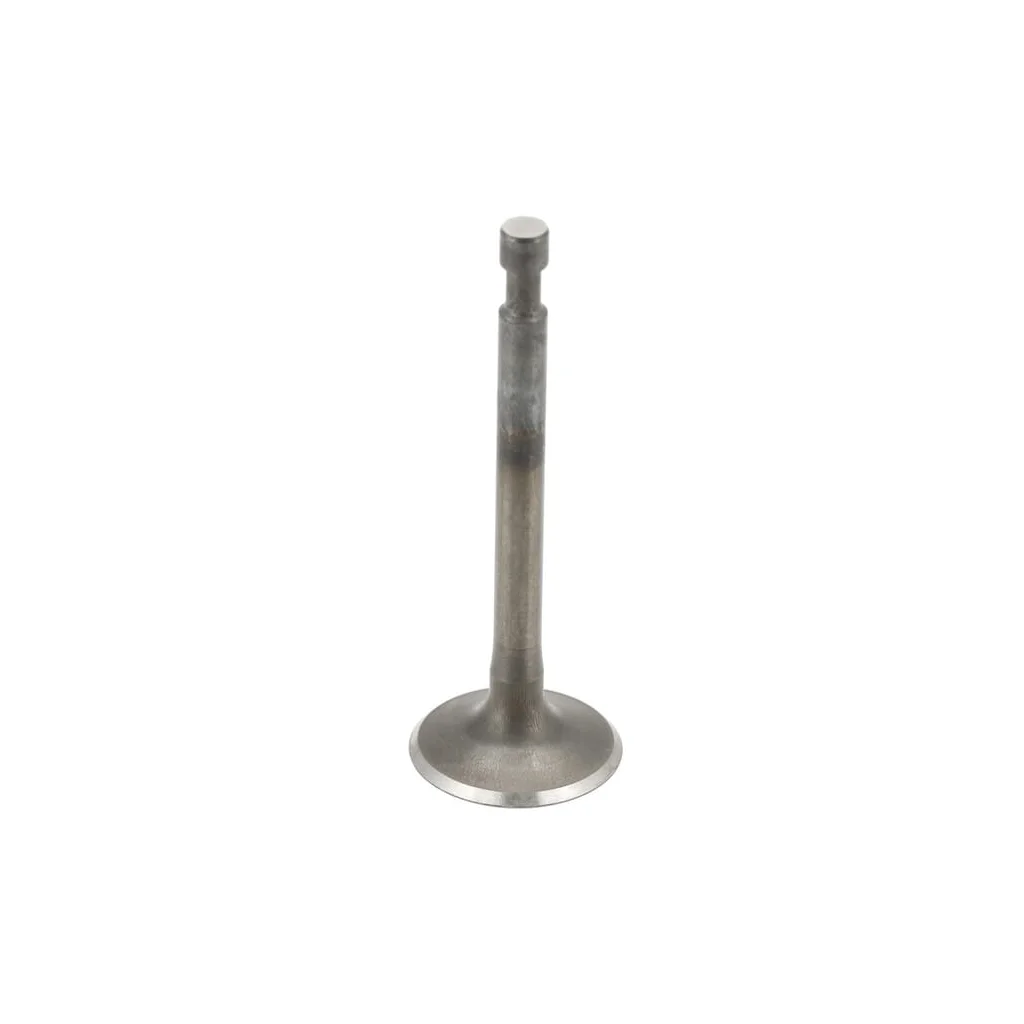 Supapă 41800252003