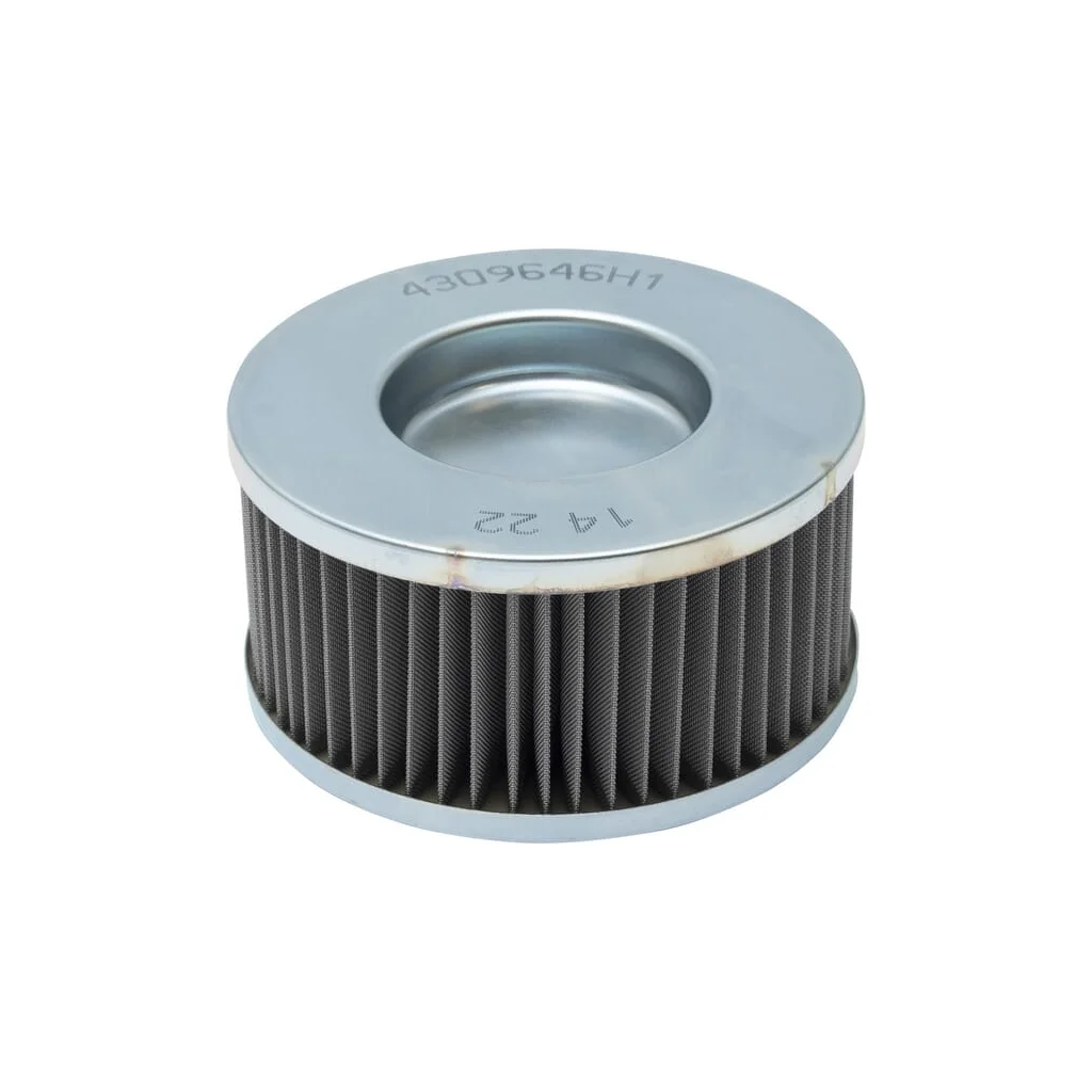 Filtru 4309646M1