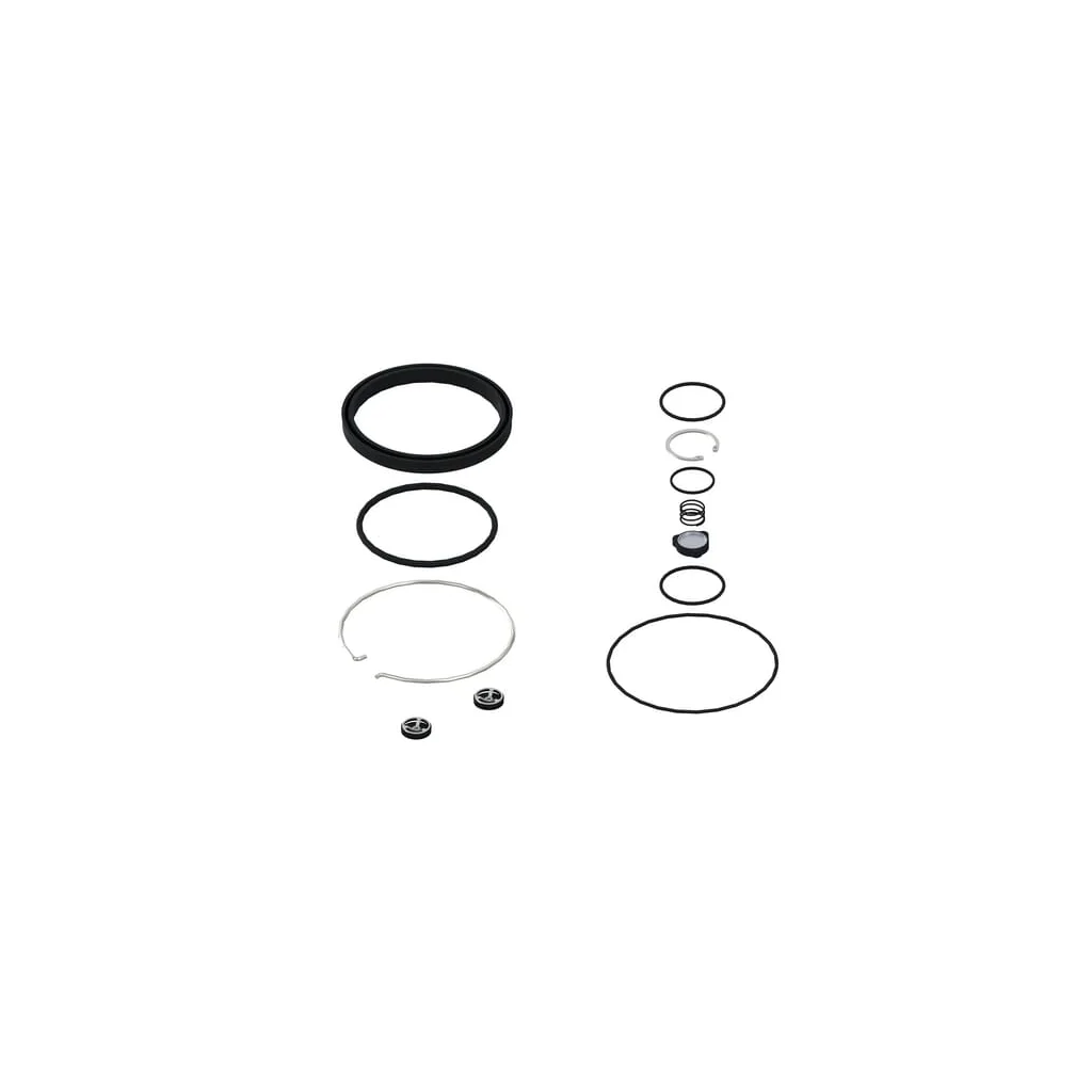 Kit: supapă+garnitură 4620070032