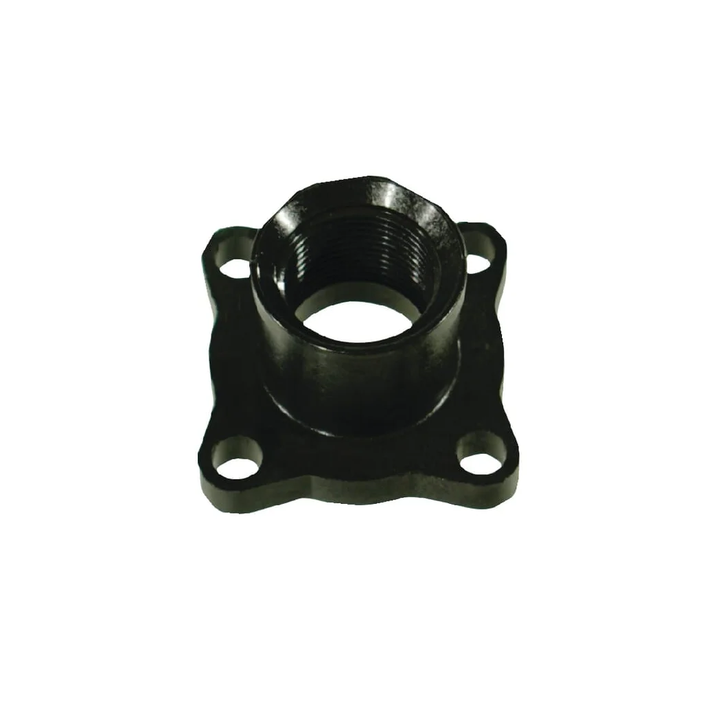 Flanșă de conectare filetată 1" BSP 463000042