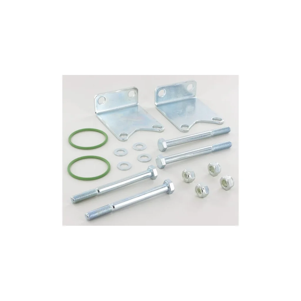 Set de fixare pentru o supapă 463 463000910