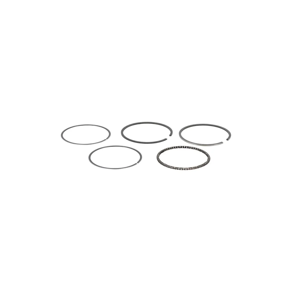 Set standard de segmenti 493782