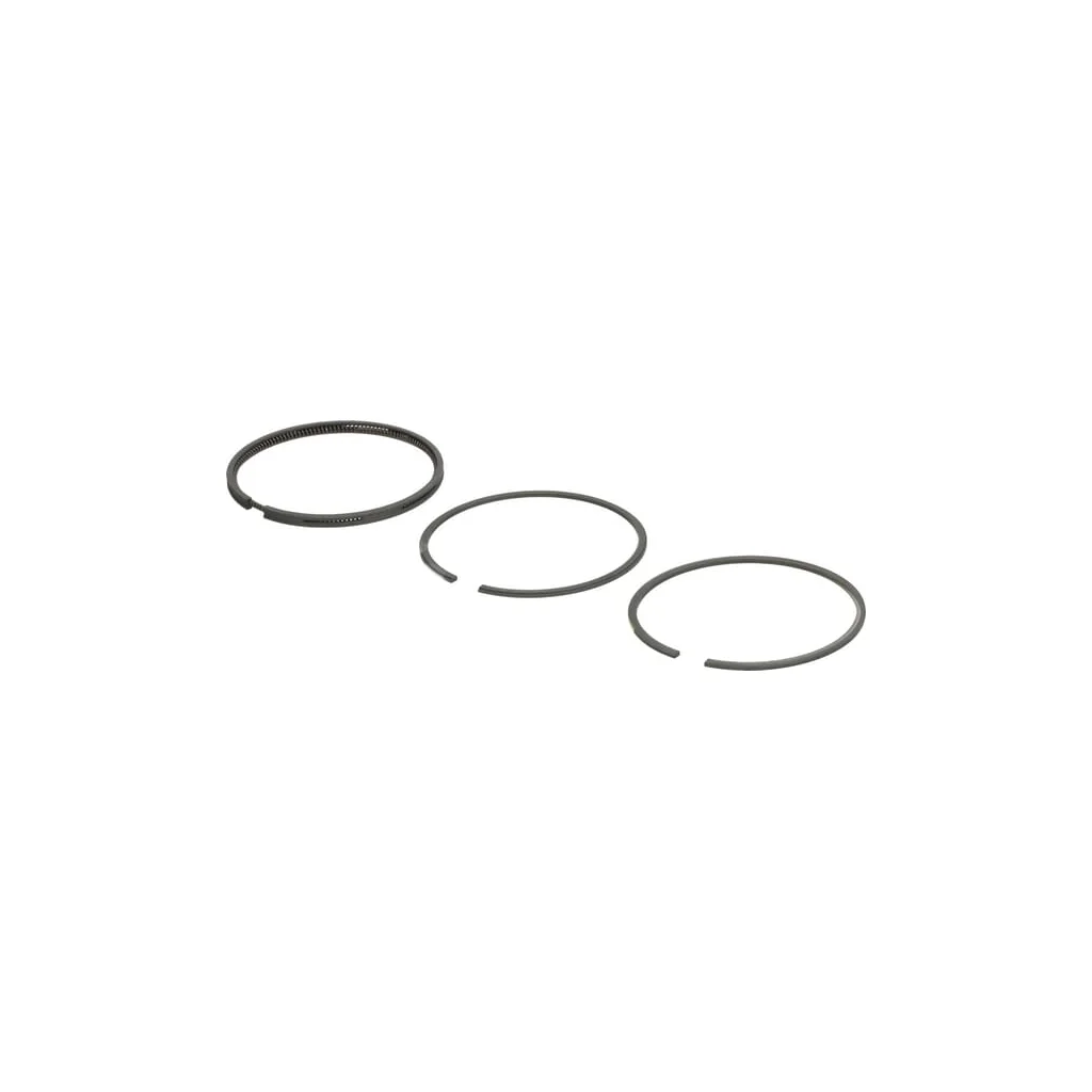 Set segmente piston standard 493261