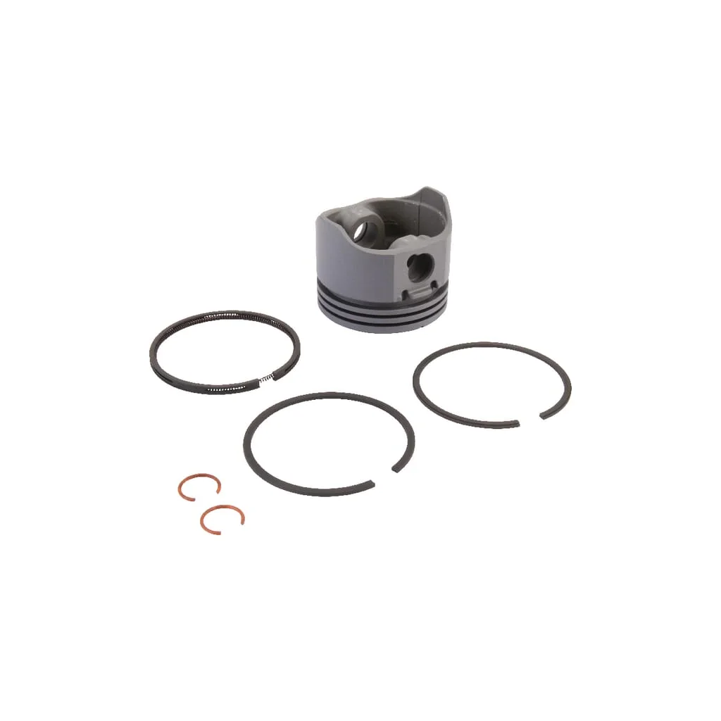 Ansamblu piston.020 499909