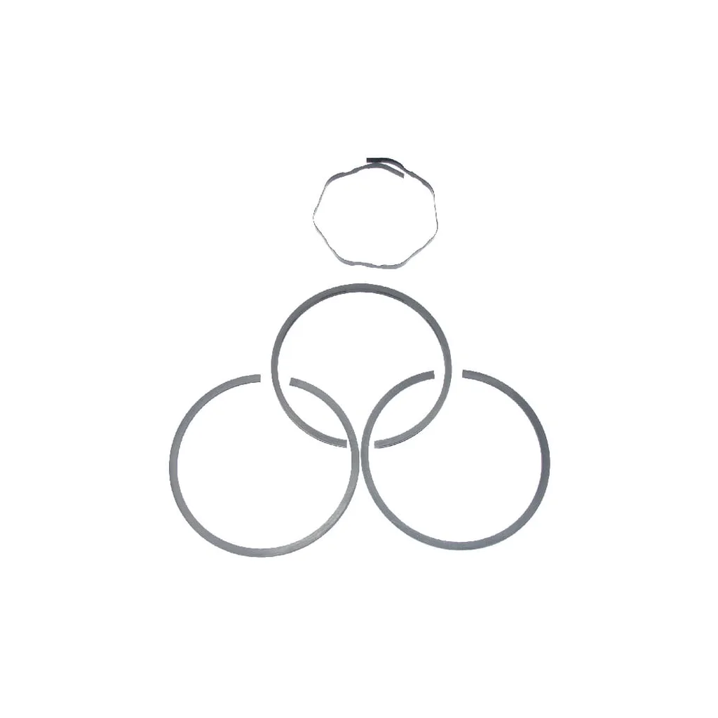 Set segmente piston standard 499996