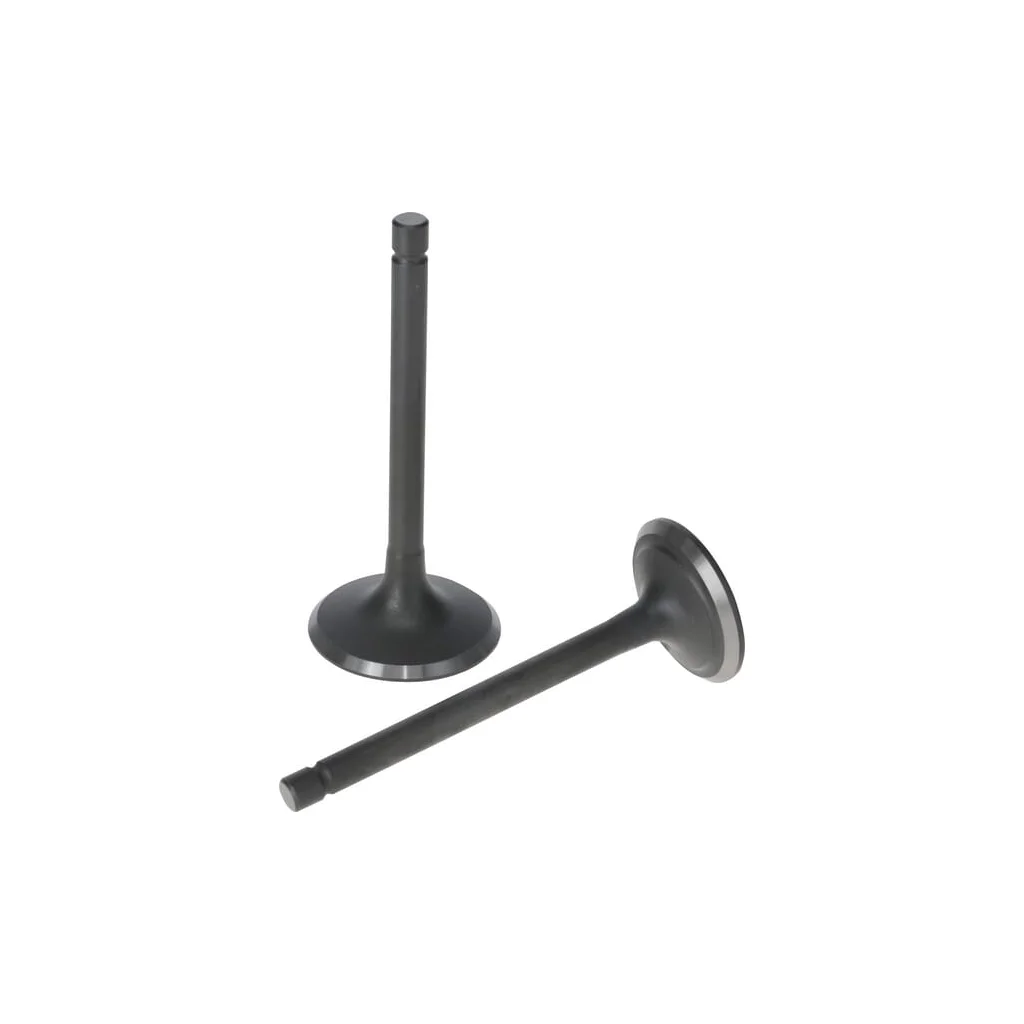 Set supapă 5005500320001