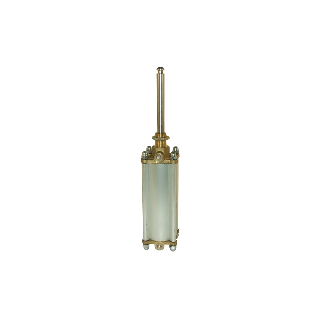 Cilindru pneumatic 5" cu magnet MZ 5008200MZ