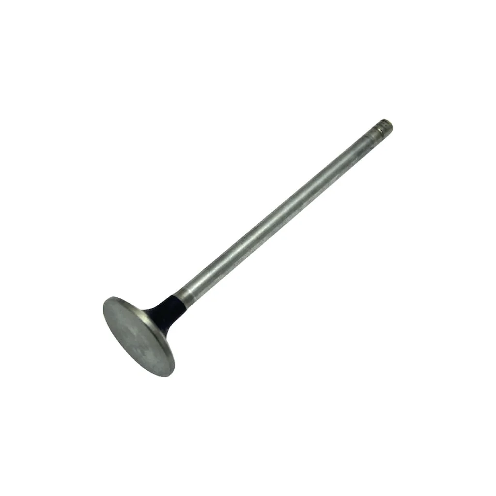 Supapă de alimentare standard 500355778