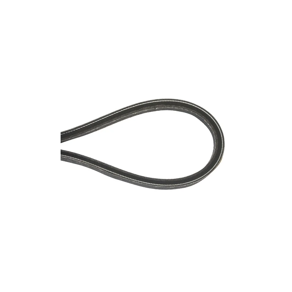 Curele de transmisie trapezoidală 0039212