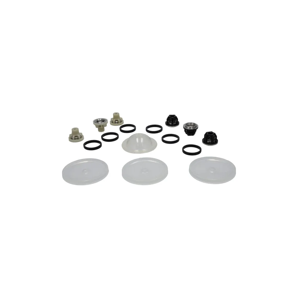 Kit piese de schimb pentru pompă 50260165