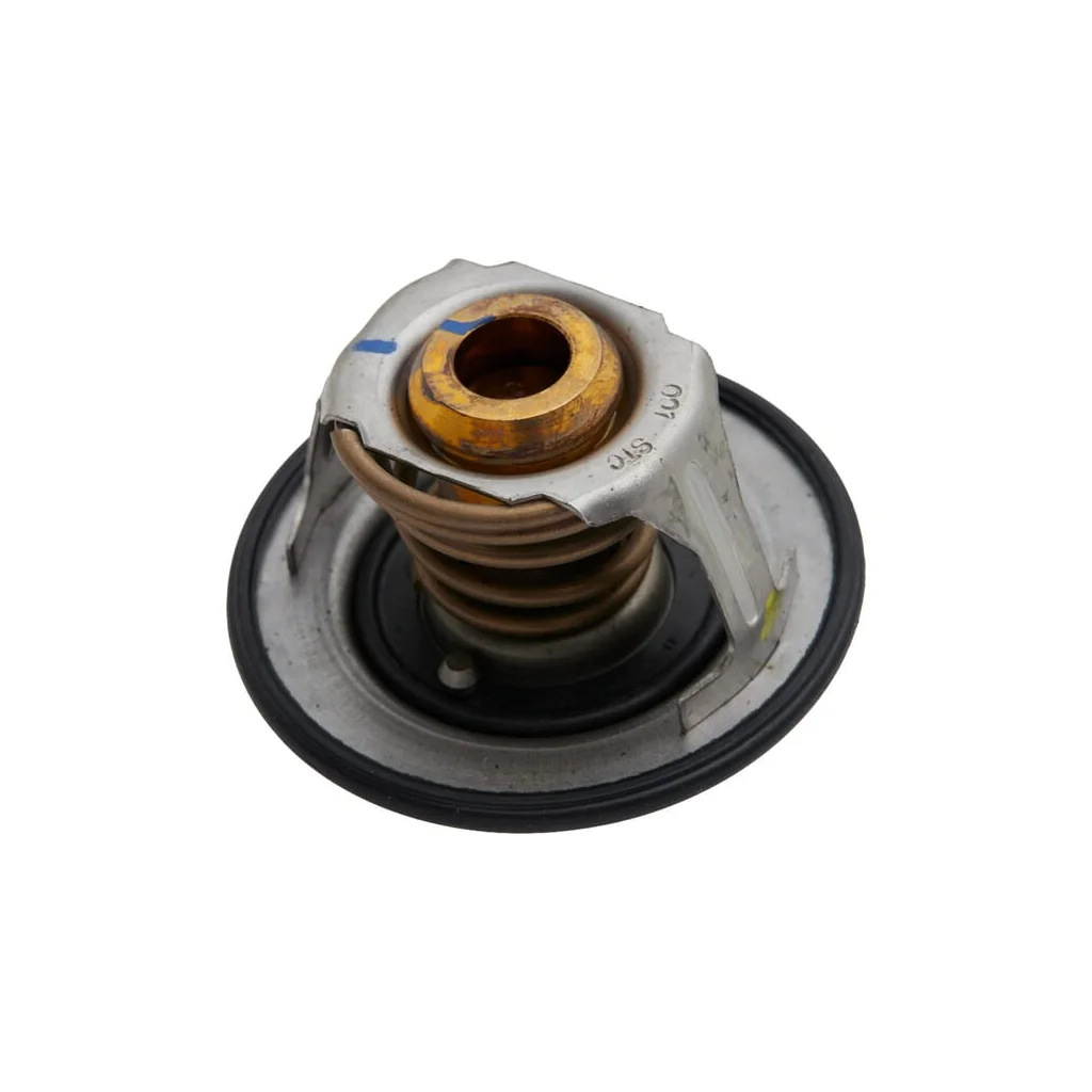 Termostat 504380075FPT