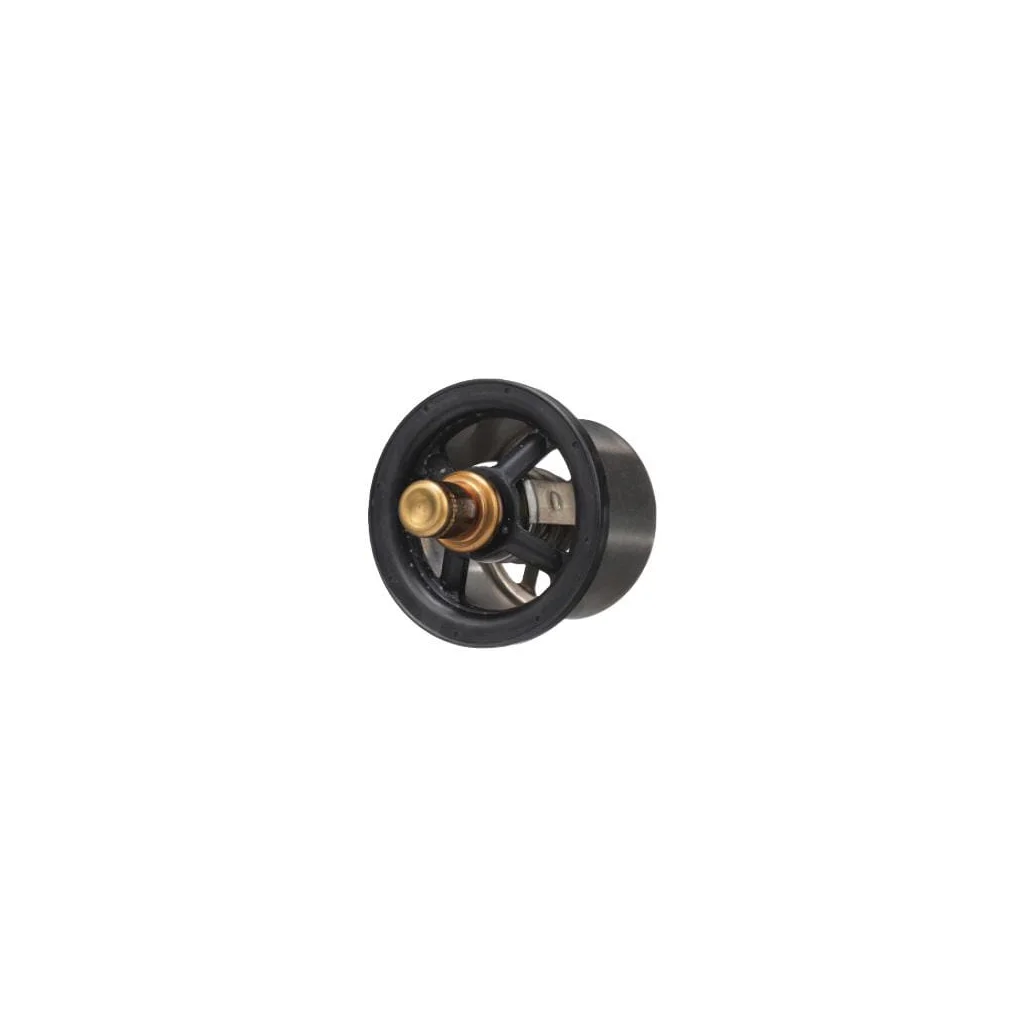 Termostat 504096443FPT