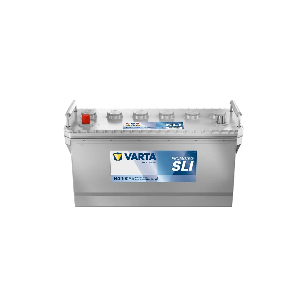 Baterie 12V 100AH 600035060