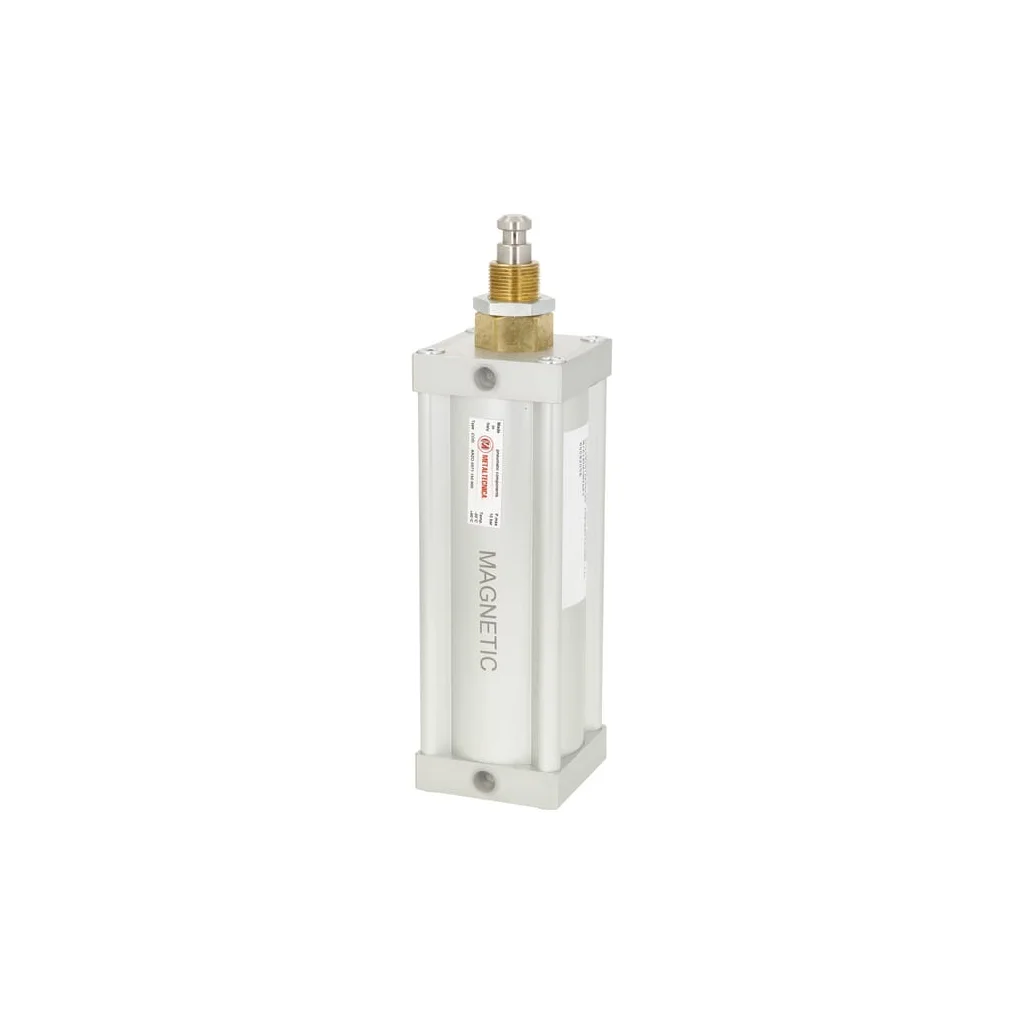 Cilindru pneumatic. 6" execuție magnetică 6008200Z