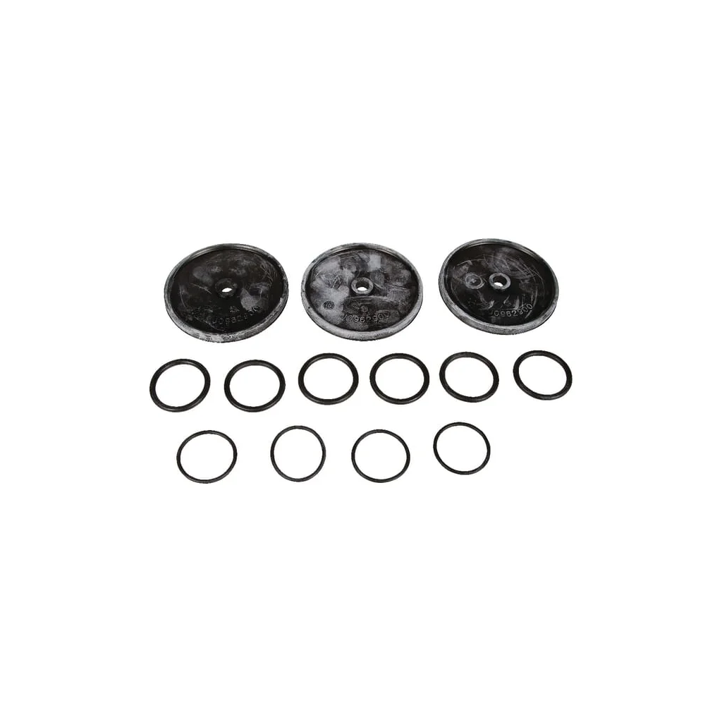 Set membrane Buna Bertolini 639871973