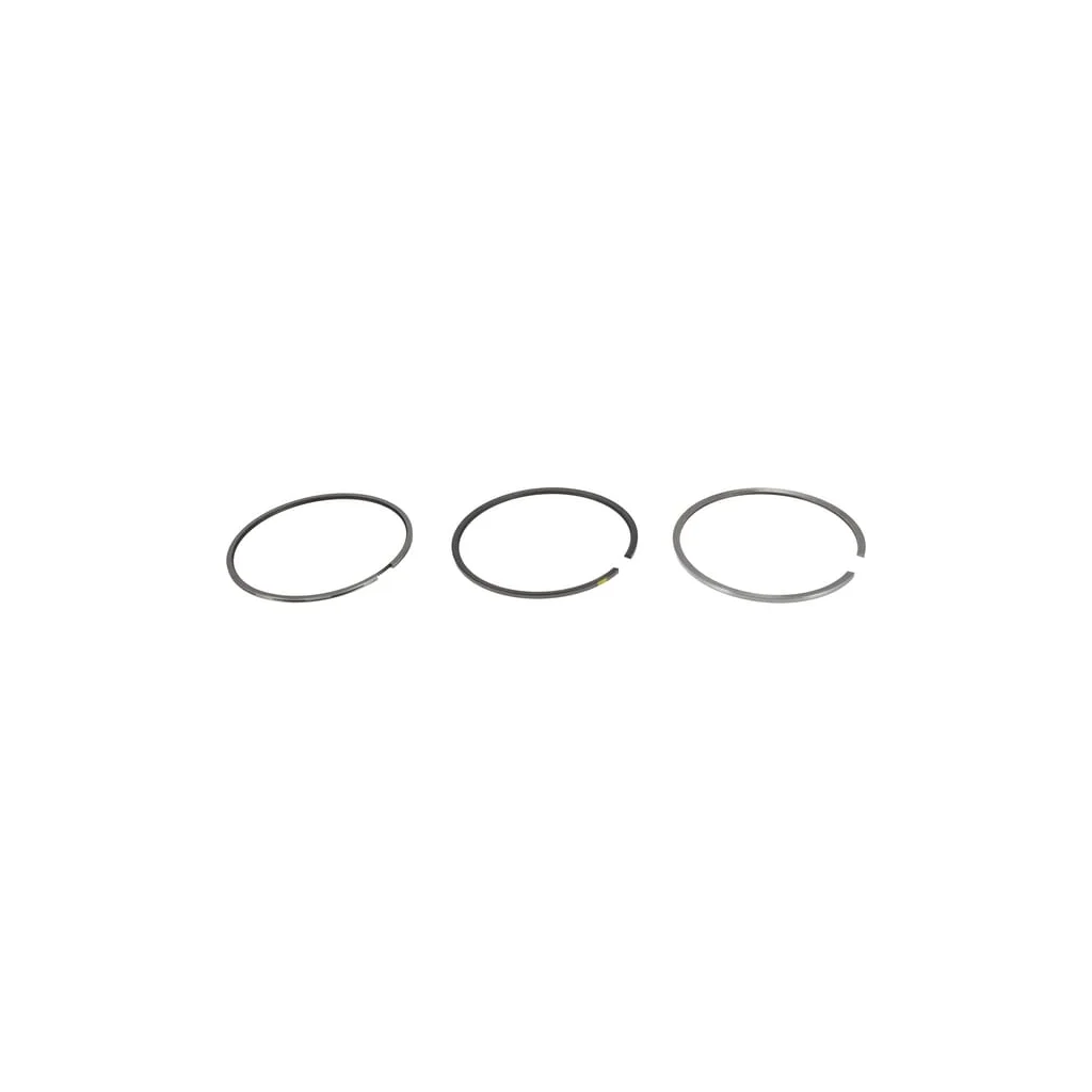 Set inele piston 04235997