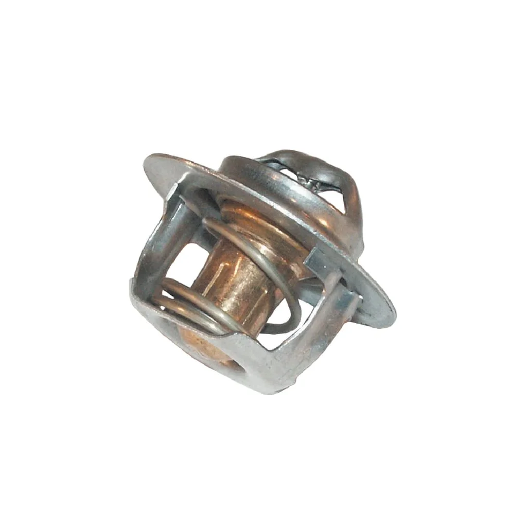Termostat 04198789
